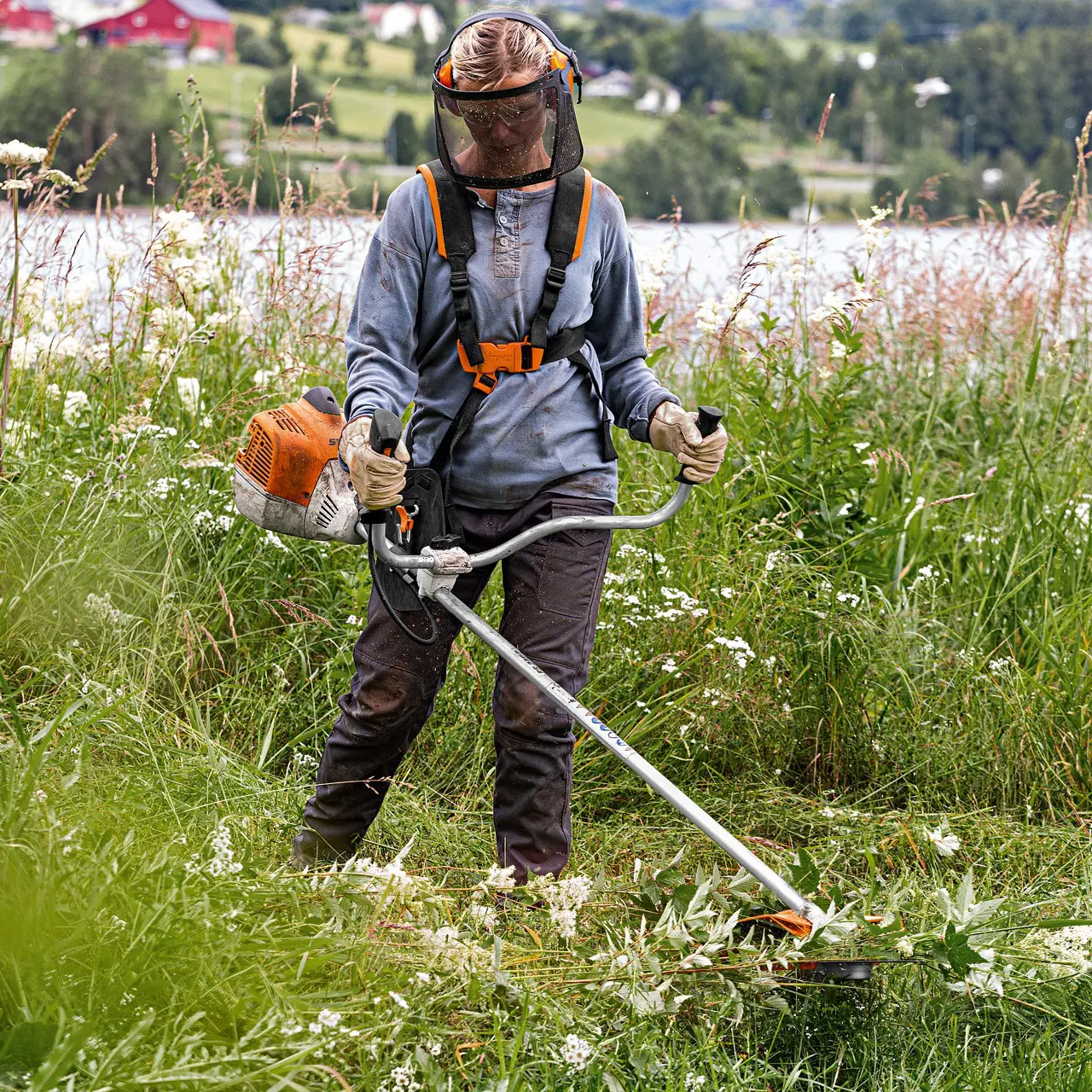 STIHL FS 240 C-E Petrol Brushcutter 2 STIHL FS 240 C-E Petrol Brushcutter working