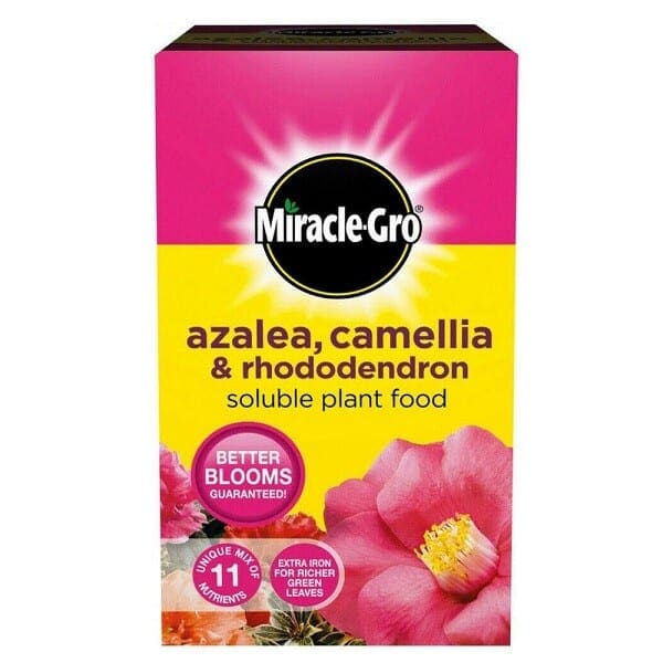 Miracle-Gro Azalea, Camellia & Rhododendron Soluble Plant Food 500g 1 Miracle-Gro Azalea, Camellia & Rhododendron Soluble Plant Food 500g
