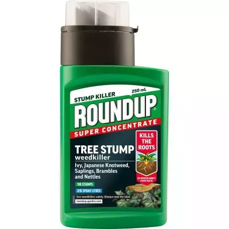 Roundup Tree Stump Weedkiller 250ml 1 Roundup Tree Stump Weedkiller