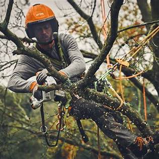 STIHL GTA 40 Cordless Pruner 2 Stihl GTA 40